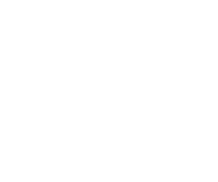 Don Julio